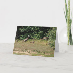 Wir alle Truthähne, Geburtstag Karte