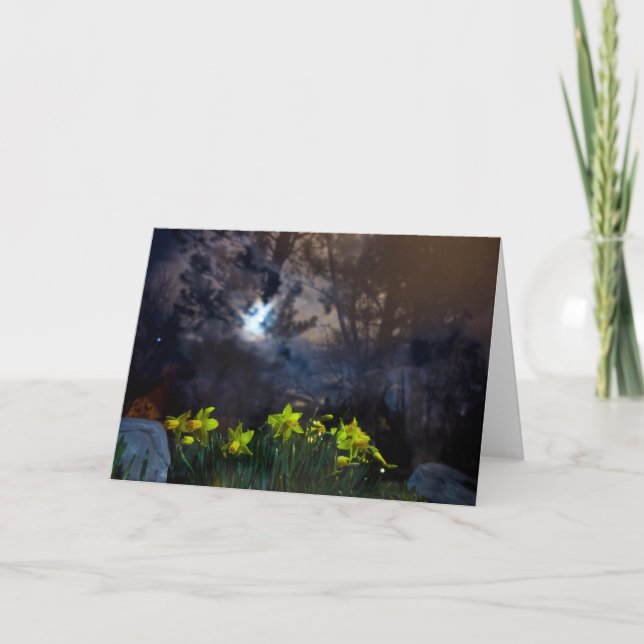 wir besitzen die Nacht Karte (Vorderseite)