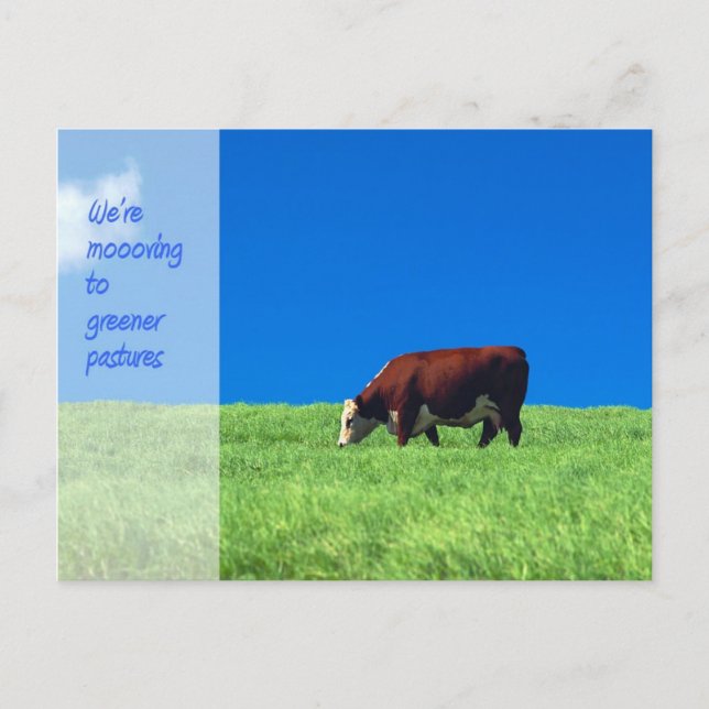 Wir bewegen die Ankündigung (Vorderseite)