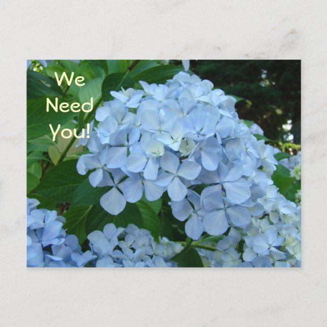 Wir brauchen dich! Postkarten werden heute einbezo (Vorderseite)