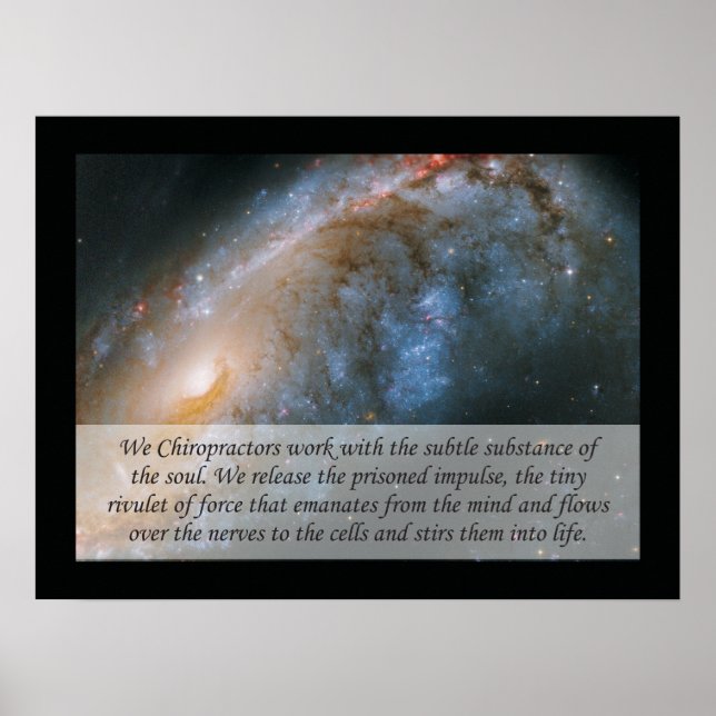 Wir Chiropraktiker Zitat Poster (Vorne)