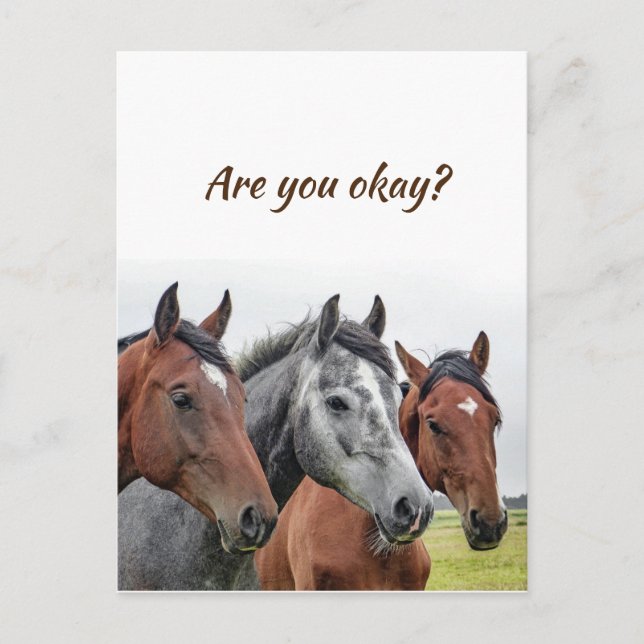 Wir denken an euch Pferde zu wissen, dass es euch  Postkarte (Vorderseite)