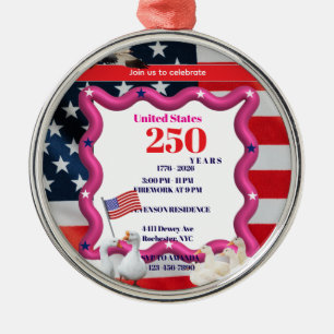 Wir Die Dummen Gänse 250. Lustige Feier Ornament Aus Metall