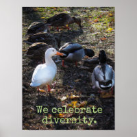 Wir feiern Diversity Poster Print
