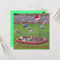 Wir feiern Weihnachten im Juli, Vögel laden ein