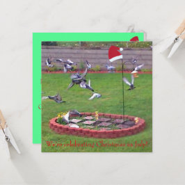 Wir feiern Weihnachten im Juli, Vögel laden ein