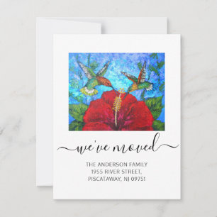 Wir haben bewegte Hummingvögel, die Skriptbewegung Ankündigung