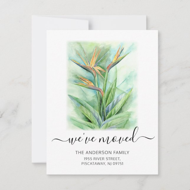 Wir haben den Flora-Vogel des Paradiesnamens beweg Ankündigung (Vorderseite)