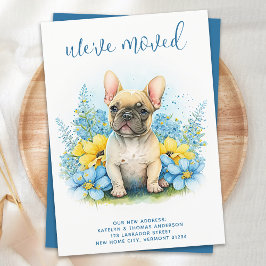 Wir haben den französischen Bulldog-Welpenhund bew Ankündigung