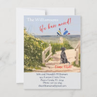 Wir haben den Hund Ocean Beach Move