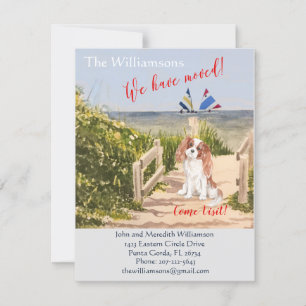 Wir haben den Hund Ocean Beach Move Ankündigung