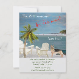 Wir haben den Hund Ocean Beach Move Ankündigung