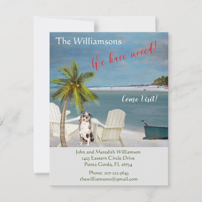 Wir haben den Umzug des Dog Ocean Beach verschoben Ankündigung (Vorderseite)