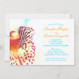 Wir haben die Ankündigung der Knot Beach Elopement