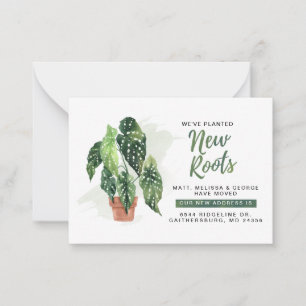 Wir haben die Ankündigung "New Roots Moving" gepla