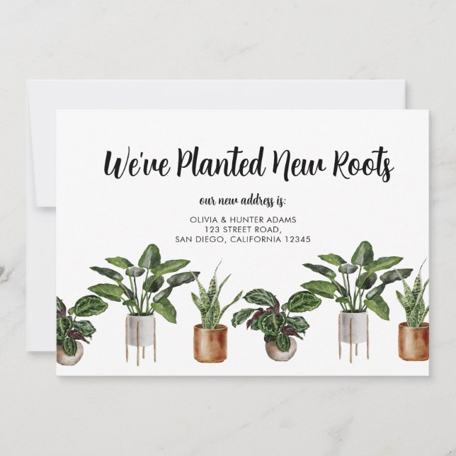 Wir haben die Ankündigung "New Roots Moving" gepla (Vorderseite)