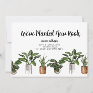 Wir haben die Ankündigung "New Roots Moving" gepla