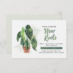 Wir haben die Ankündigung "New Roots Moving" gepla