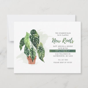 Wir haben die Ankündigung "Planted New Roots Movin