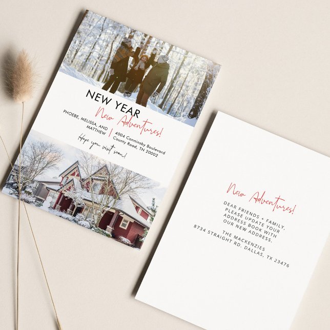 Wir haben die Ankündigung über die Bewegung von Fo (New Year New Adventures Family Moving Announcement)