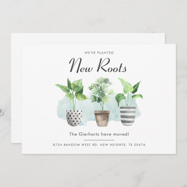 Wir haben die Ankündigung von Boho New Roots Movin (Vorne/Hinten)