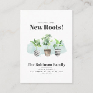 Wir haben die Ankündigung von Boho New Roots Movin