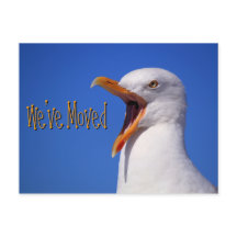 Wir haben die Funny Seagull Joke Postcard verschob
