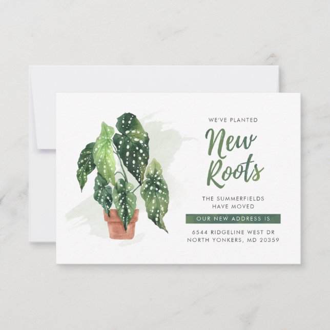 Wir haben die neue Roots-Boho-Bewegungsankündigung (Vorderseite)