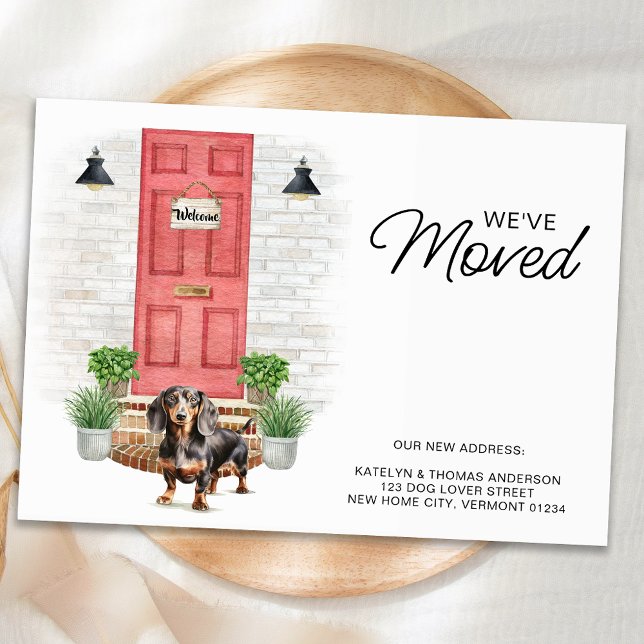 Wir haben die Rote Tür verschoben, Dackel Ankündigung (Von Creator hochgeladen)