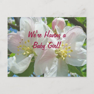 Wir haben ein Baby Girl! Postkarten New Baby