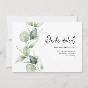 Wir haben Eukalyptus-Bewegung angekündigt