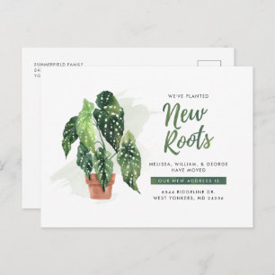 Wir haben gepflanzte neue Wurzeln bewegt Wasserfar Ankündigungspostkarte