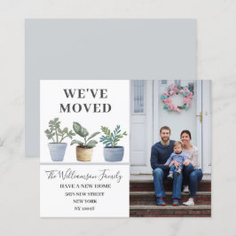 Wir haben gepottete Pflanze Dusty Blue Ankündigung