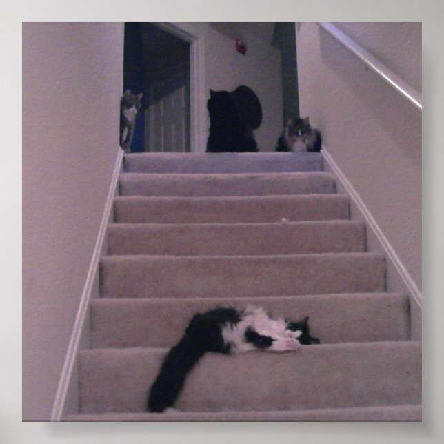 Wir haben ihn nicht gedrängt! poster (Vorne)