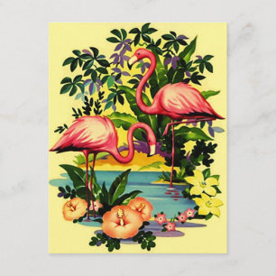 Wir haben mich bewegt Ankündigung Flamingos Pool-S