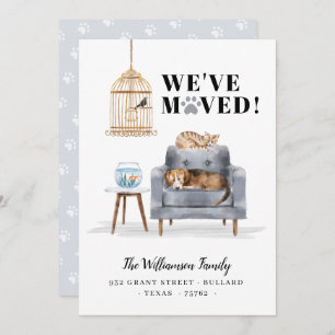 Wir haben neue Zuhause Dog & Cat Schlafen Grau Sof Ankündigung