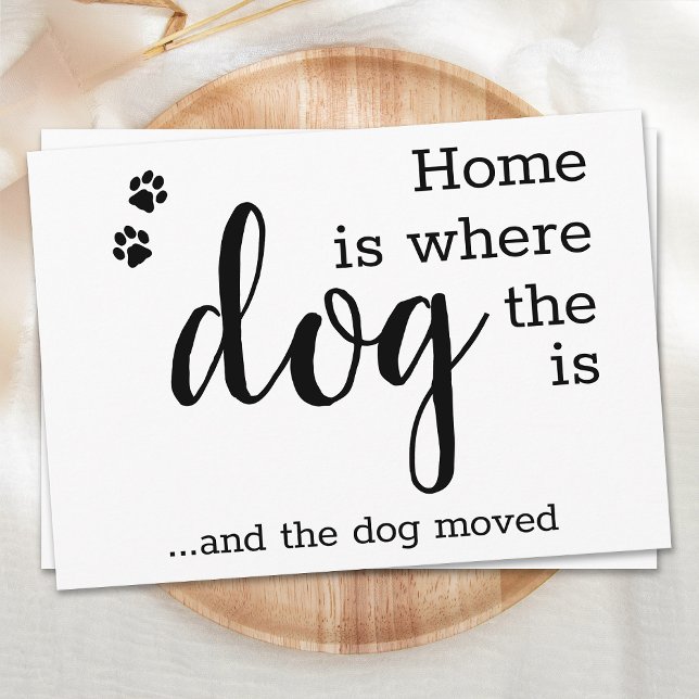 Wir haben neue Zuhause-Haustiere bewegt Ankündigung (Von Creator hochgeladen)