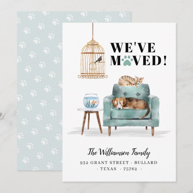 Wir haben neue Zuhause Hunde & Katzen Schlafen Grü Ankündigung (Vorne/Hinten)