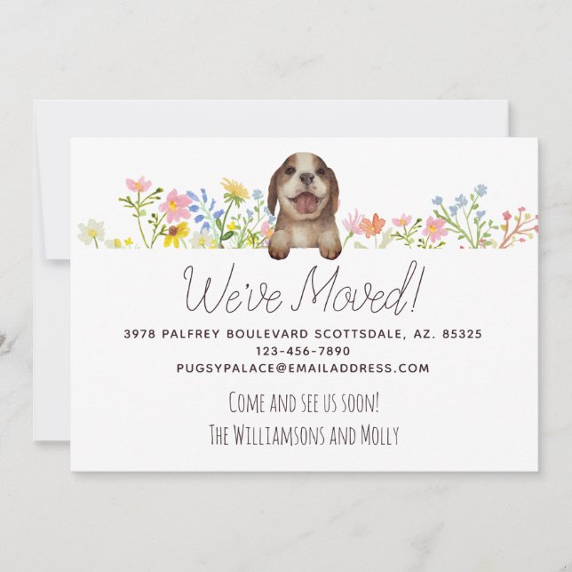 Wir haben uns bewegt! Beagle Welpenfloral Ankündigung (Vorderseite)