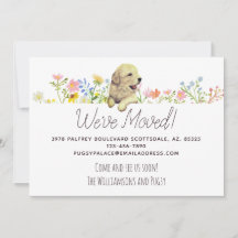 Wir haben uns bewegt! Golden Retriever Welppy Ankü