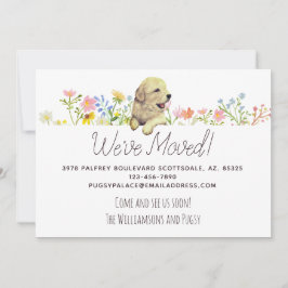 Wir haben uns bewegt! Golden Retriever Welppy Ankü Ankündigung