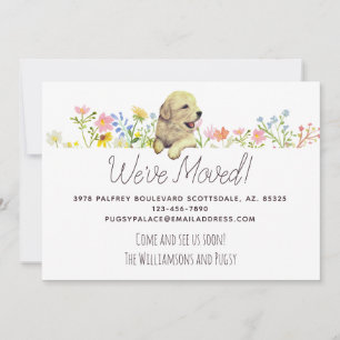 Wir haben uns bewegt! Golden Retriever Welppy Ankü Ankündigung