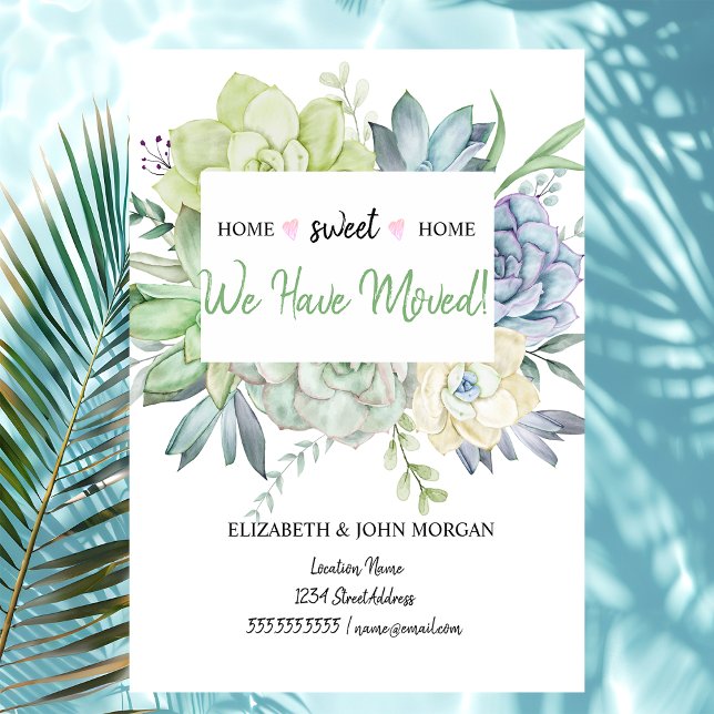 Wir haben uns bewegt, Kakteen Sukkulents Polka Dot (Von Creator hochgeladen)