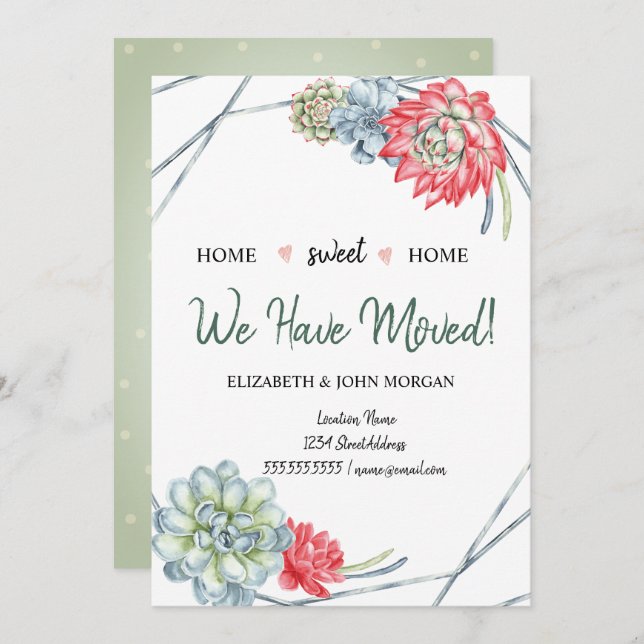 Wir haben uns bewegt, Wüstenkakteen, rote Sukkulen (Vorne/Hinten)