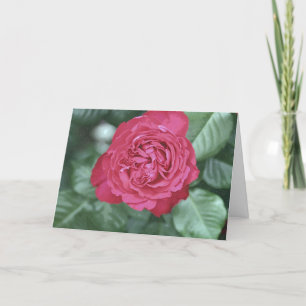 Wir heilen zusammen als wir Liebe Feiertagskarte