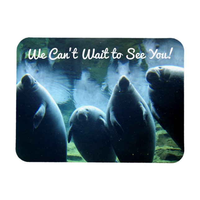 Wir können nicht warten, dich zu sehen! Manatees Magnet (Horizontal)