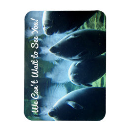 Wir können nicht warten, dich zu sehen! Manatees Magnet