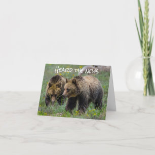 WIR KÖNNTEN NICHT "BEAR" SEIN, NICHT ZU SAGEN ***G KARTE