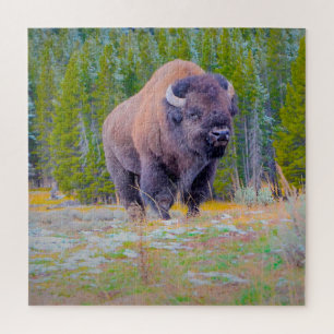 Wir Liebe Bison Wyoming. Puzzle