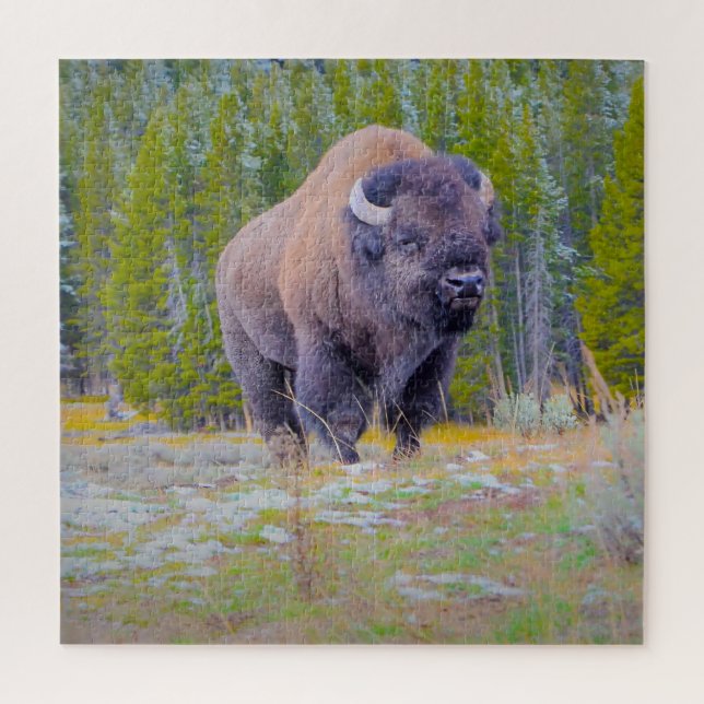 Wir Liebe Bison Wyoming. Puzzle (Vertikal)